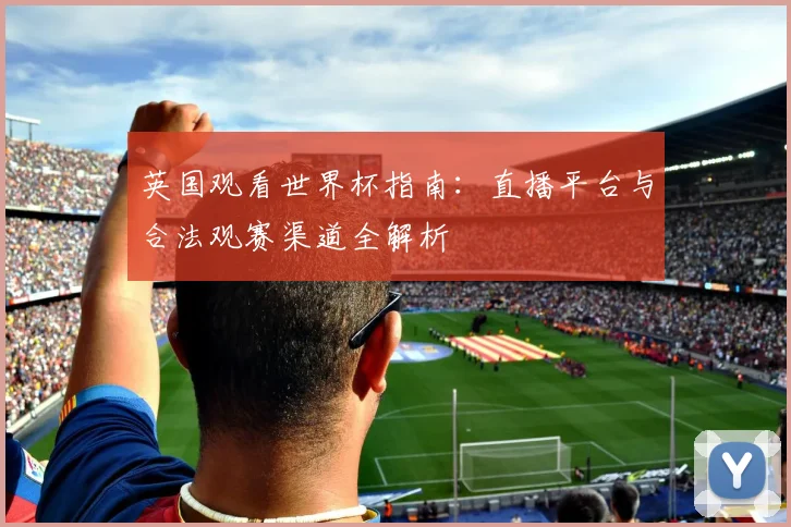 英国观看世界杯指南：直播平台与合法观赛渠道全解析