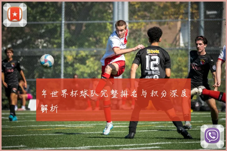 年世界杯球队完整排名与积分深度解析