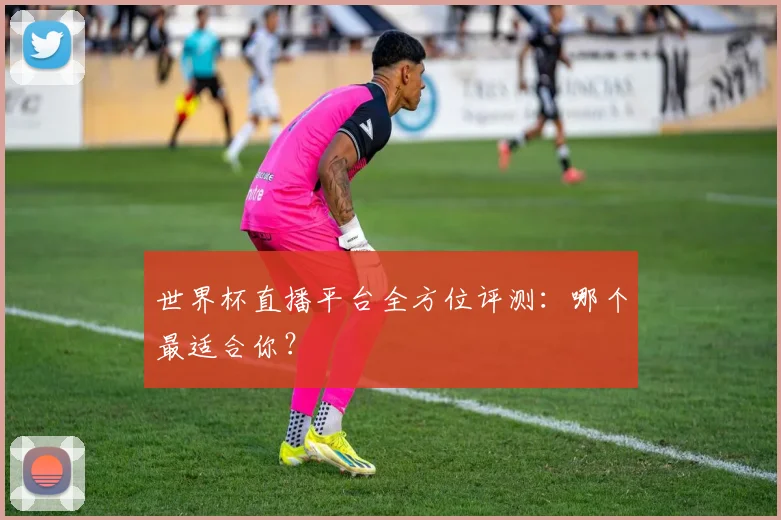 世界杯直播平台全方位评测：哪个最适合你？