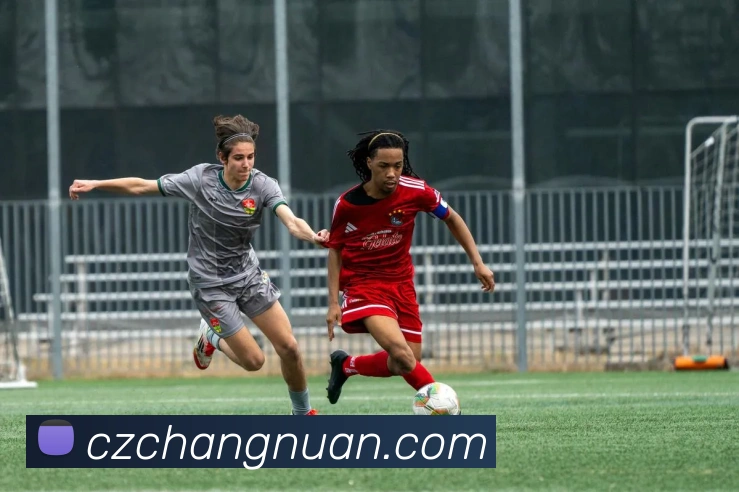 App Interface Preview